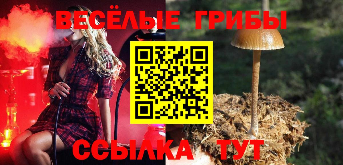 Псилоцибиновые грибы мицелий Наро-Фоминск
